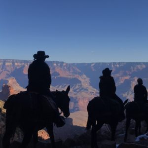 Grand Canyon National Park & An Old Fear Worth Facing